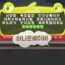 선관위 소나무 이미지