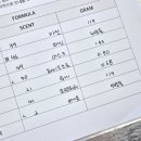 레트르서울숲