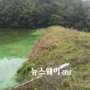 점복개 이미지