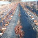 가림농장 이미지