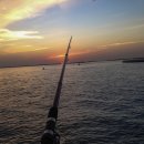 도시어부낚시카페 이미지