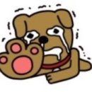 엘룩스헤어 이미지