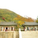 표충사 이미지
