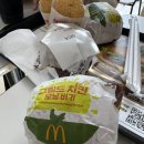 양드로