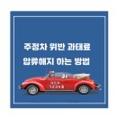 주정차-32 네이버블로그