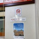 진동활어횟집