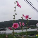 달구벌식당 이미지