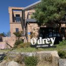 오드리컴퍼니 이미지