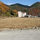 마한농장 이미지