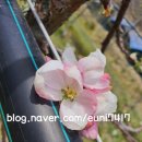 이현농장 이미지