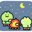 스테이우아 이미지