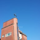 모예게스트하우스 이미지