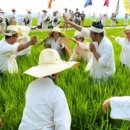 부천석천농기고두마리 | 부천문화원, 대장동 들녘서 세벌논메기 재연
