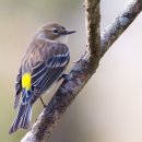 혁신목장 이미지