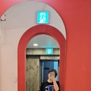 데이담 이미지