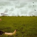 하루(Haru) 이미지