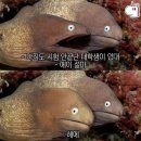 철갑옷의 비밀 | 할로윈 특집 : 시험의 공포
