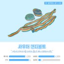 위니비니롯데몰 - 용인시 수지구 성복2로 38 | 위니비니롯데몰