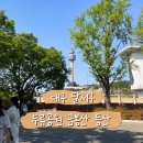 금봉정 | 대구 등산 추천 두류공원 금봉산 30분 초보 코스