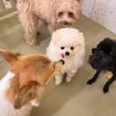 춘이네 멍치원 이미지