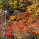 태백소방서(철암119안전센터) 네이버블로그
