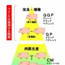 클라노