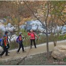 축전마을 버스정류장 이미지