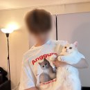 골드래빗 | 고양이 티셔츠 제작 후기 골드래빗 반려동물