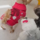 해빛5로 이미지