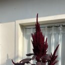 복주경로당 이미지