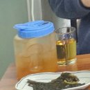 팔달시장 | 대구 장어 맛집 팔달시장 장어대학! 직접 잡는 생장어로 몸보신 제대로~