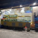 오정막회