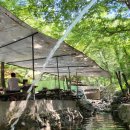 계곡식당 이미지