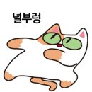 나래동물병원 이미지