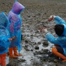 죽림어촌체험마을 이미지