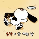 홍키통키 이미지