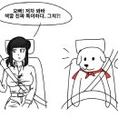 베스트오너 이미지