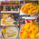 투썸 | 요즘 핫한 투썸 망고생 후기! 투썸플레이스 케이크 추천