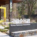 본홀딩스 이미지