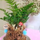 수태경로당 이미지