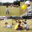 송당초등학교 병설유치원 이미지