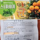 농업회사법인에이치비(주)예산농장 | (인터뷰) “꿈의 당도 11-17Brix 완성”.. 제주에서 ‘스테비아 귤’ 재배 성공, 노지귤 판도 바뀌나