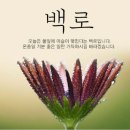 ♤9월8일 금요일 출석부~^^ 이미지