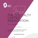 커피바리스타 초급A | [자격증리뷰] SCA 자격증(바리스타 자격증) 취득후기