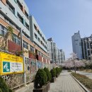 신성뉴타운공인중개사사무소 이미지