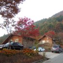 (합)탄금대관광 | 충주시 주요관광명소