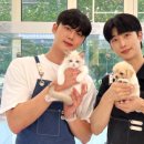 미유펫 강아지분양 고양이분양 부천점 이미지