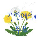 민들레 꽃피우기 교구 보자기 100cm*100cm 양면/ 80,000원 - 생태역사문화체험 자연에서 이미지