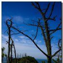 등대자동차정비 이미지