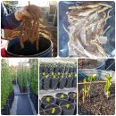 봉례농장 이미지